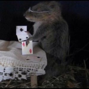 Meet your Posher, Jaden